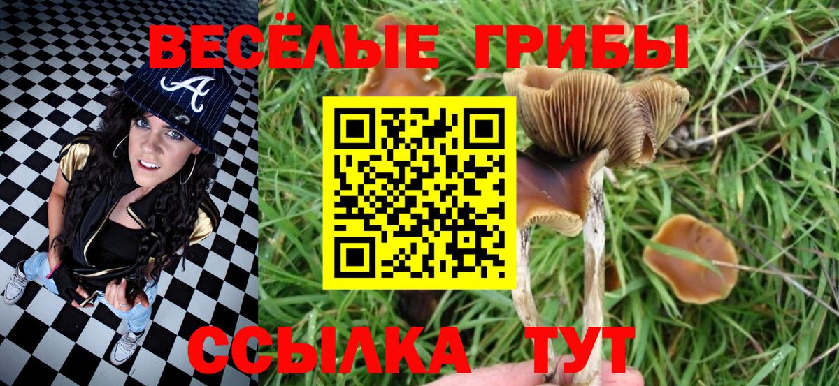 Псилоцибиновые грибы мухоморы  Вход с VPN  Псилоцибиновые грибы Psilocybine cubensis  Абинск 