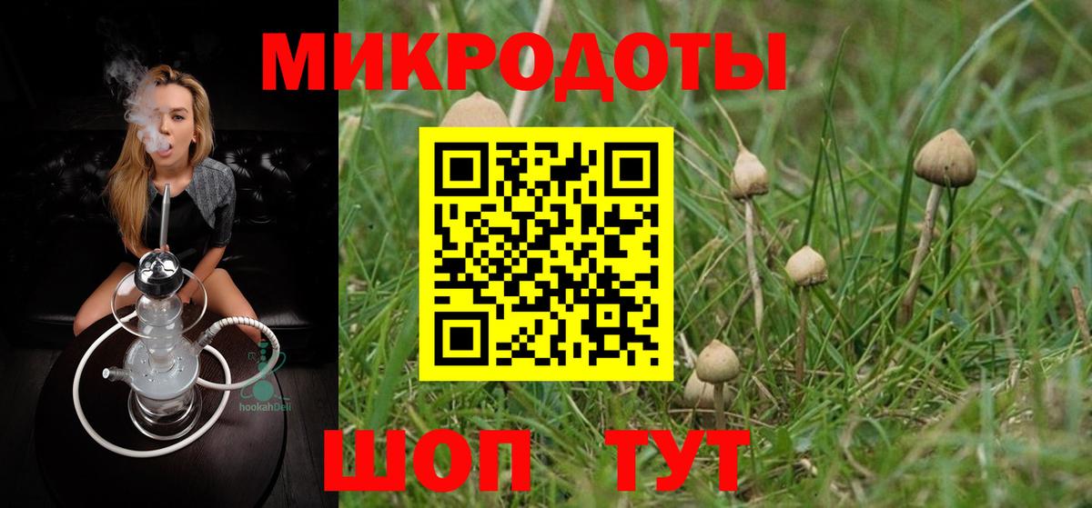 Псилоцибиновые грибы прущие грибы Абинск